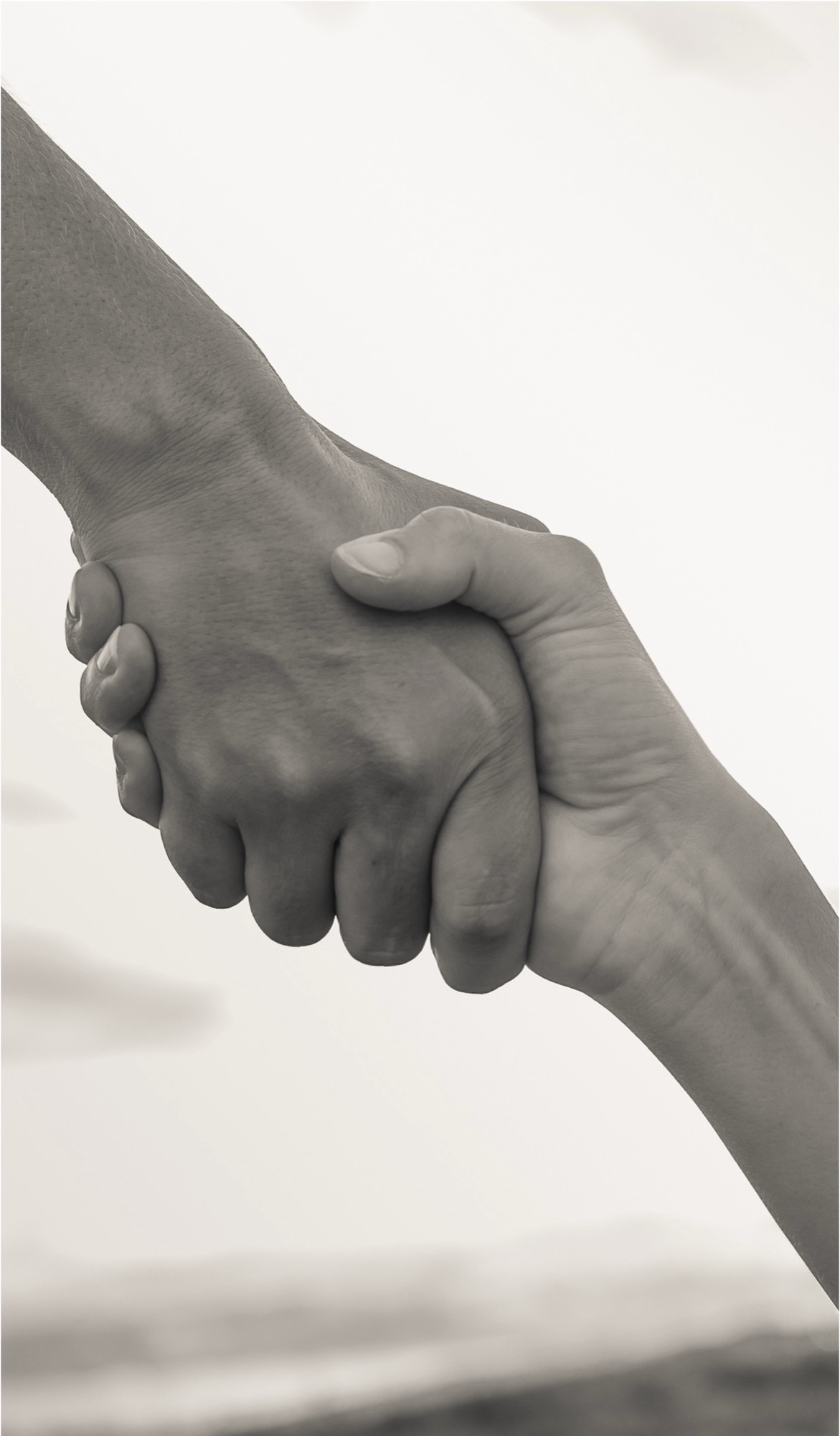 Two hands gripping each other by the wrists — someone reaching, someone catching.